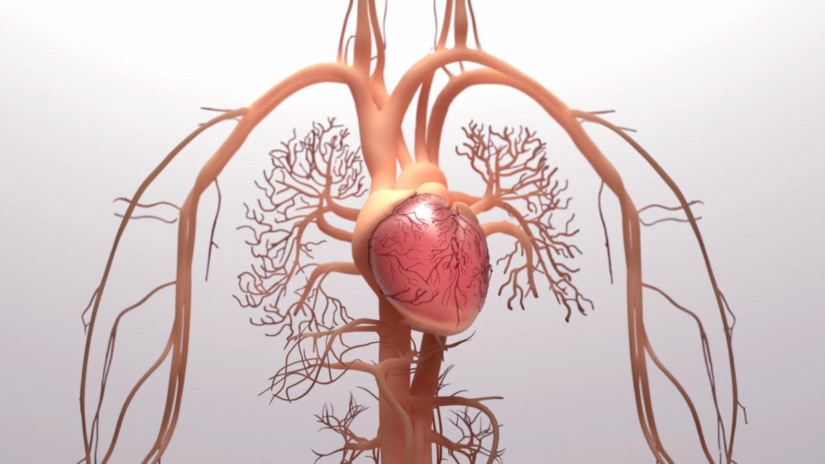 hipertensión arterial pulmonar